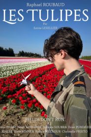 The Tulips
