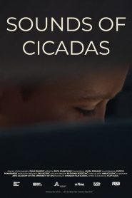 Sounds of Cicadas