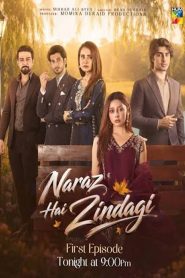 Naraz Hai Zindagi