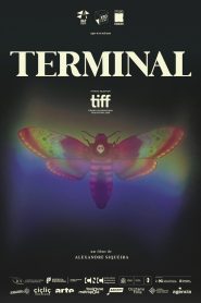 Terminal