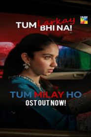 Tum Milay Ho