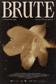 Brute