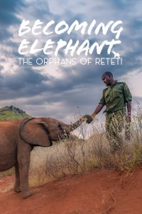 Becoming Elephant: The Orphans Of Reteti