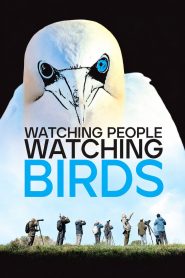 Watching People Watching Birds