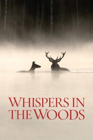 Whispers in the Woods