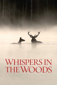 Whispers in the Woods