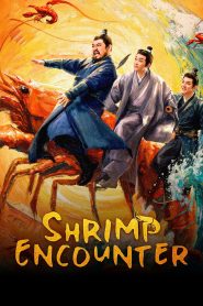Shrimp Encounter