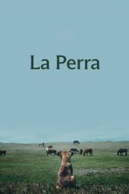 La Perra