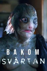 Bakom Svärtan