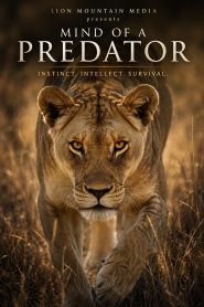 Mind of a Predator