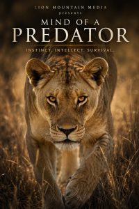 Mind of a Predator