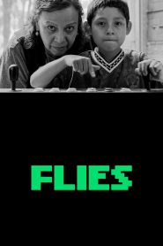 Flies