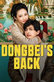 Dongbei’s Back