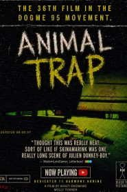 Animal Trap