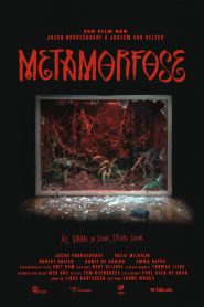 Metamorphosis