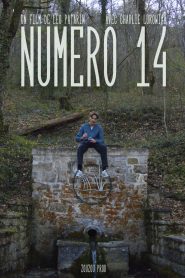 Numéro 14