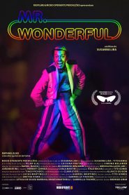 Mr. Wonderful