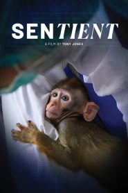 Sentient
