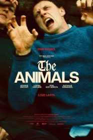 The Animals
