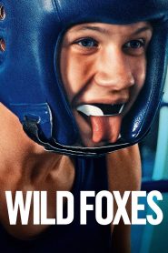 Wild Foxes