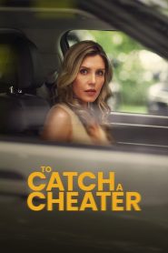 To Catch a Cheater