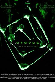 Erebus