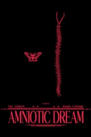 Amniotic Dream