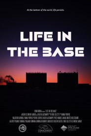 Life in the base