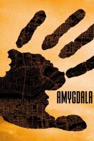 AMYGDALA