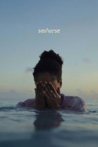 Seahorse