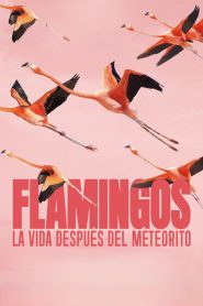 Flamingos: Life After the Meteorite