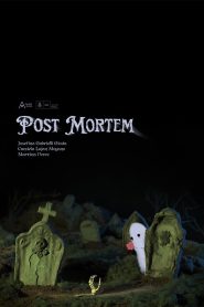 Post Mortem