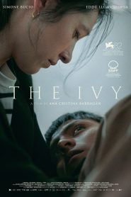 The Ivy