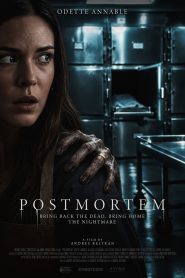 Postmortem