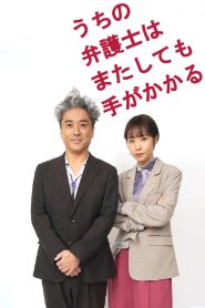うちの弁護士はまたしても手がかかる