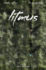 Litmus