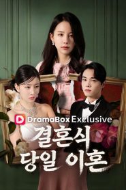 결혼식 당일 이혼