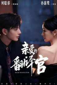 亲爱的翻译官