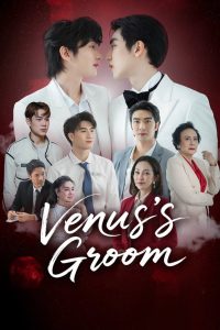 Venus’s Groom