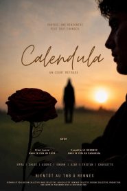 Calendula