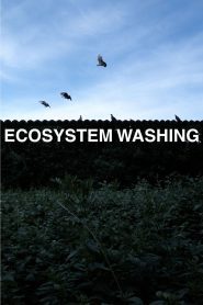 Ecosystem Washing