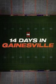 14 Days in Gainesville