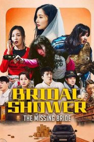 Bridal Shower: The Missing Bride
