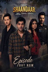 Shaandaar