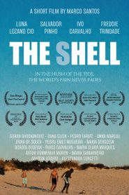 The Shell