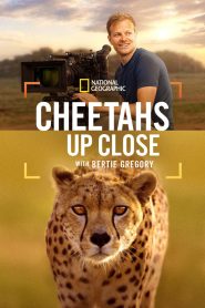 Cheetahs Up Close with Bertie Gregory