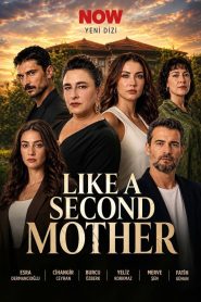 Like A Second Mother