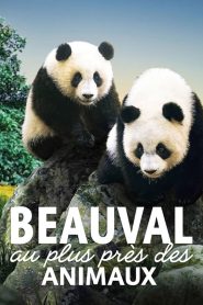 Beauval, au plus près des animaux