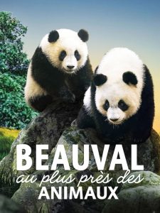 Beauval, au plus près des animaux