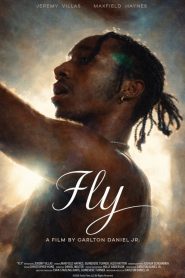 Fly